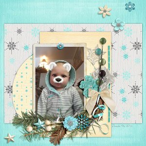 Winter bear