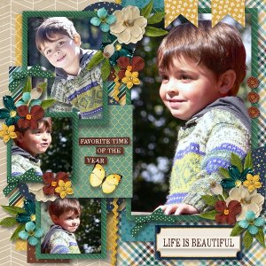 2007-09_-_tinci_-_amazing_year_f_vruary_1_-_AS-ST-beautifall