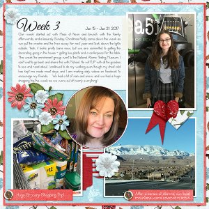 Project 52/2017 Week 3