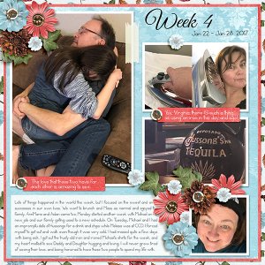 Project 52 2017 Week 4
