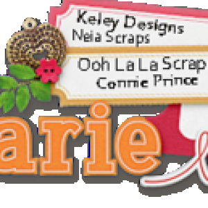 Annemaries Siggy for Feb 2017