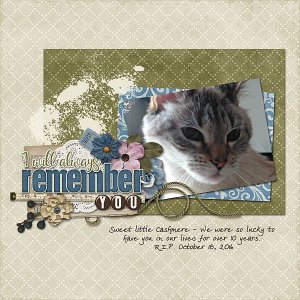 I Will Always Remember You