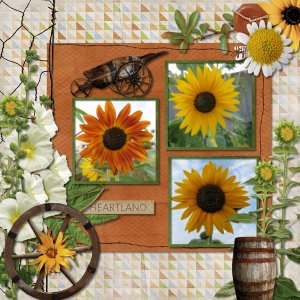 Sunflowers