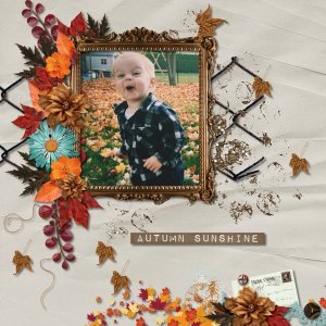 Fallen Leaves