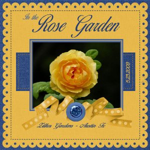 In the Rose Garden