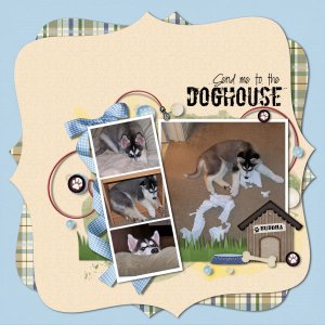 Doghouse