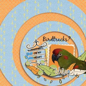 birdtracks on my heart