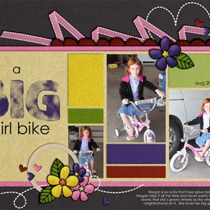 Big girl bike