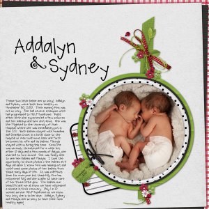 Twins2010WEB