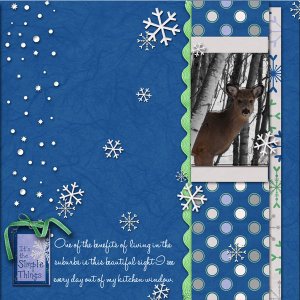 Winter-beauty