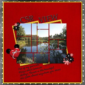 CSR-view