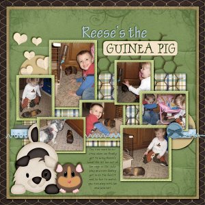 Reese's the Guinea Pig