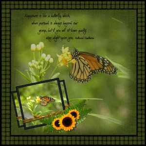 Butterfly