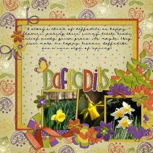 daffodils