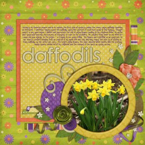 Daffodils