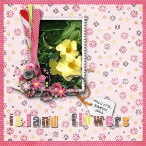 Island Flowers