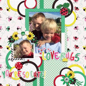 My little love bugs