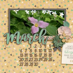 March Desktop