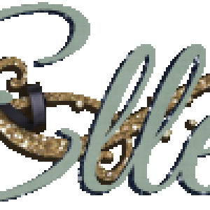 Feb 2017 Siggie