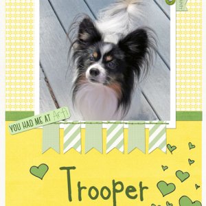 Trooper