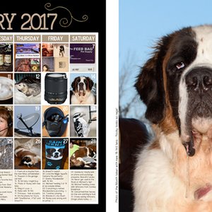 Monthly LO for January
