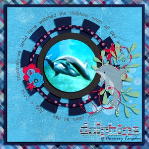 Dolphins of Discovery Kingdom