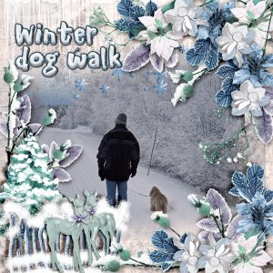 Winter-dog-walk