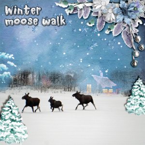 Winter-moose-walk