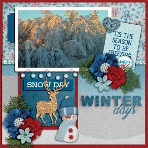 Winter-days1