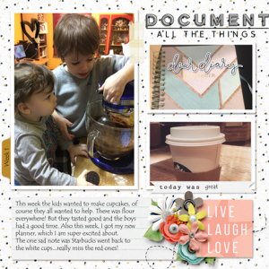 Document