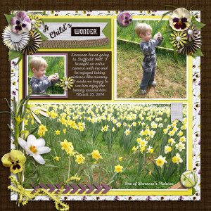 dman at Daffodil Hill 2014