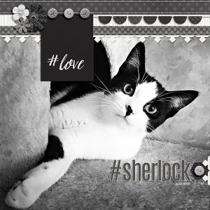 #sherlock