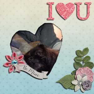 I love you