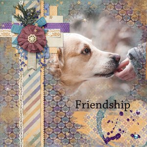 Friendship