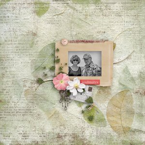 Scraplift Challenge Feb
