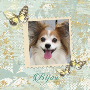 Bijou 12-03-16