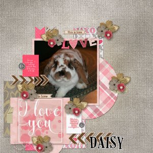 Daisy