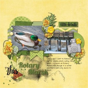 Rotary Marsh