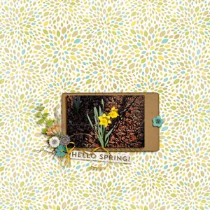 Hello Spring!