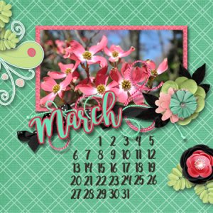 0217 Desktop Challenge