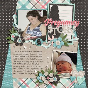 Pregnancy Story