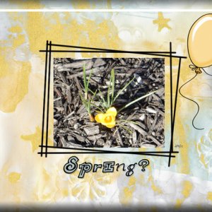 Spring?