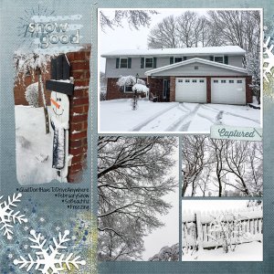 February Snow, left side