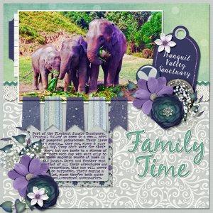 Family Time