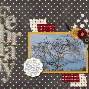 February song birds