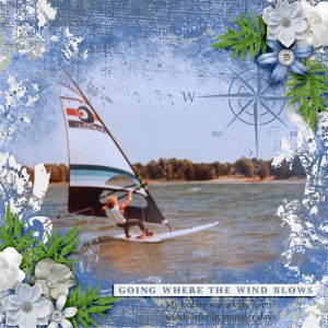 Going-where-the-wind-blows