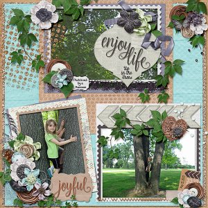 Enjoy Life- Up in the Trees