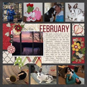Feb Week 2