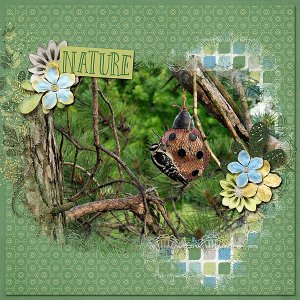 Downey Woodpecker