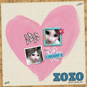 xoxo